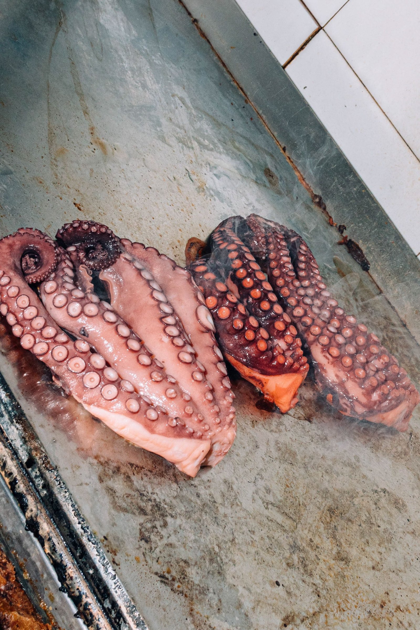 Pulpo cocido presentado en un plato claro.