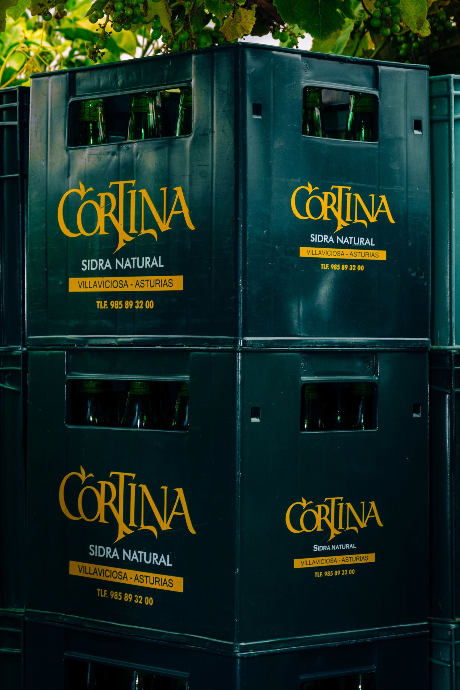 Tarjetas de menú colocadas sobre la barra.