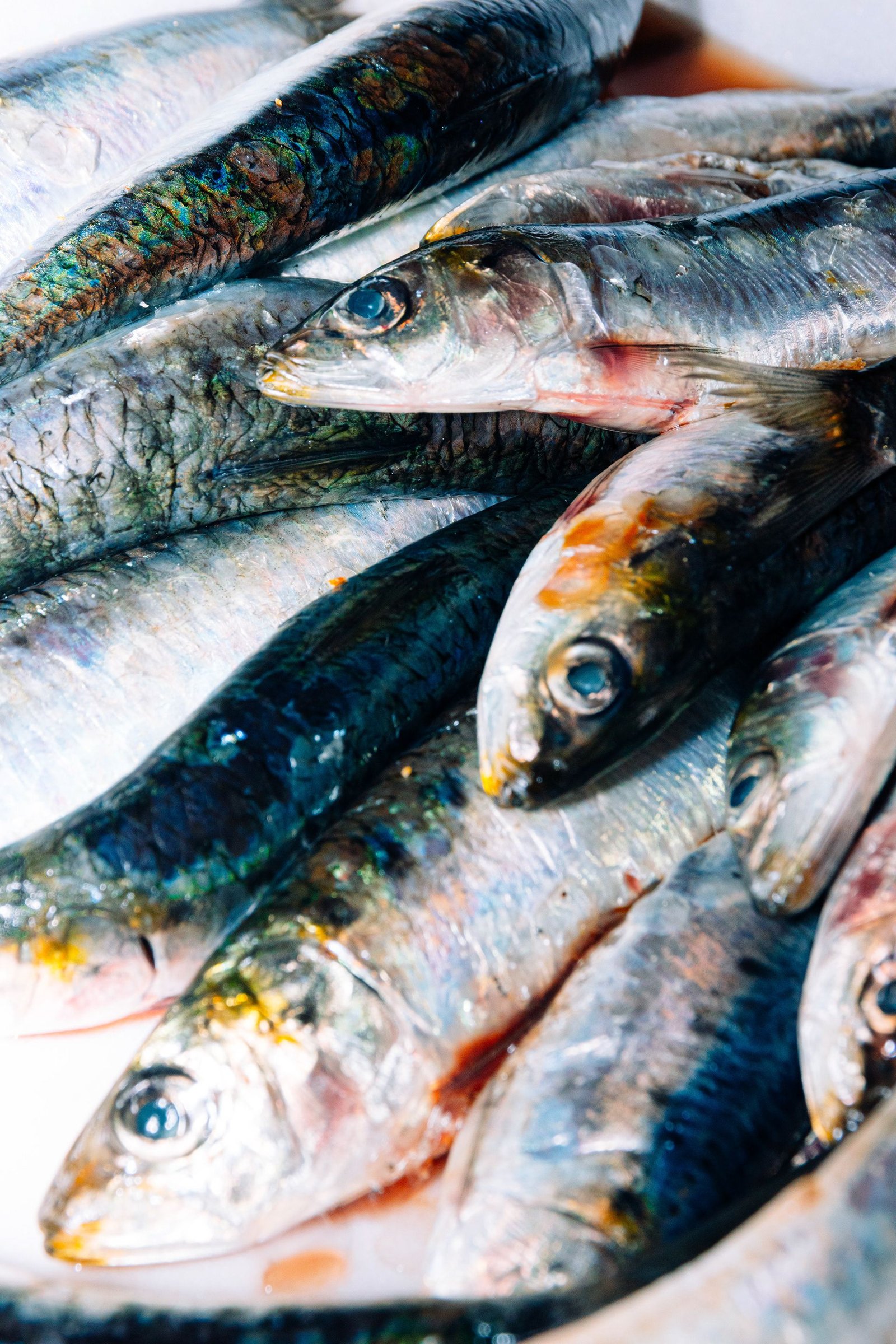Pescados servidos con guarnición sobre un plato blanco.